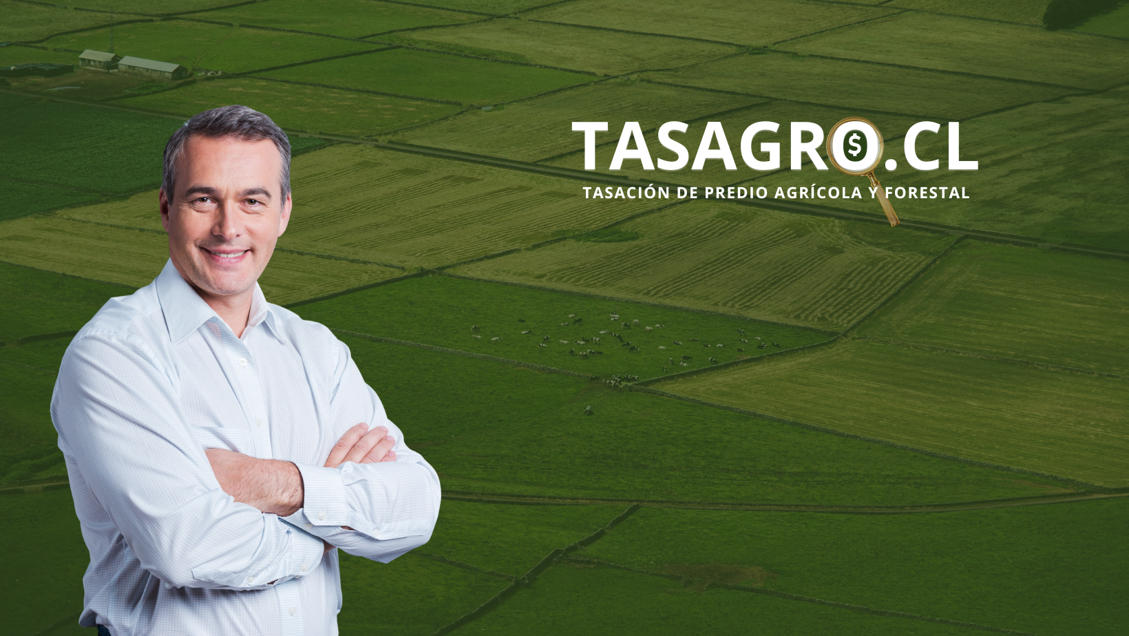 tasador agricola